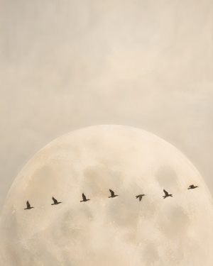 Crossing — artwork by Lan Zhou